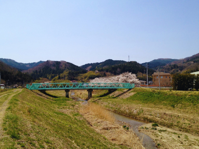 初春の河川で河川敷に咲く桜の背景に山々が見える日本の里山