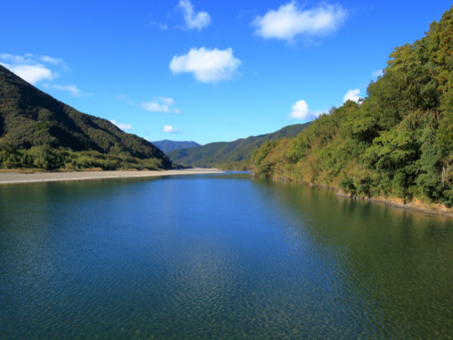 雄大な川の流れと川辺の木々