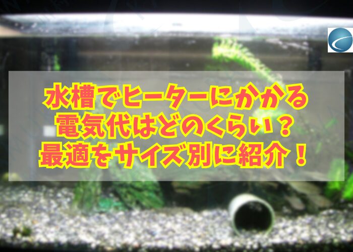 一般的な日本淡水魚水槽